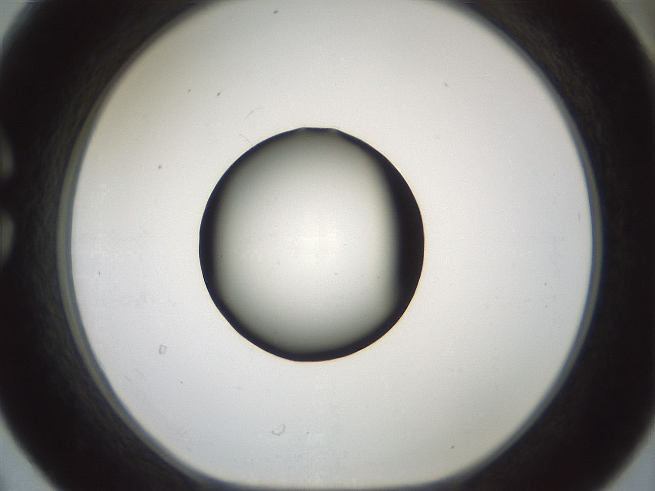 folderID601_plateID1601_batchID6734_wellNum30_profileID1_d1_r107182_ef.jpg