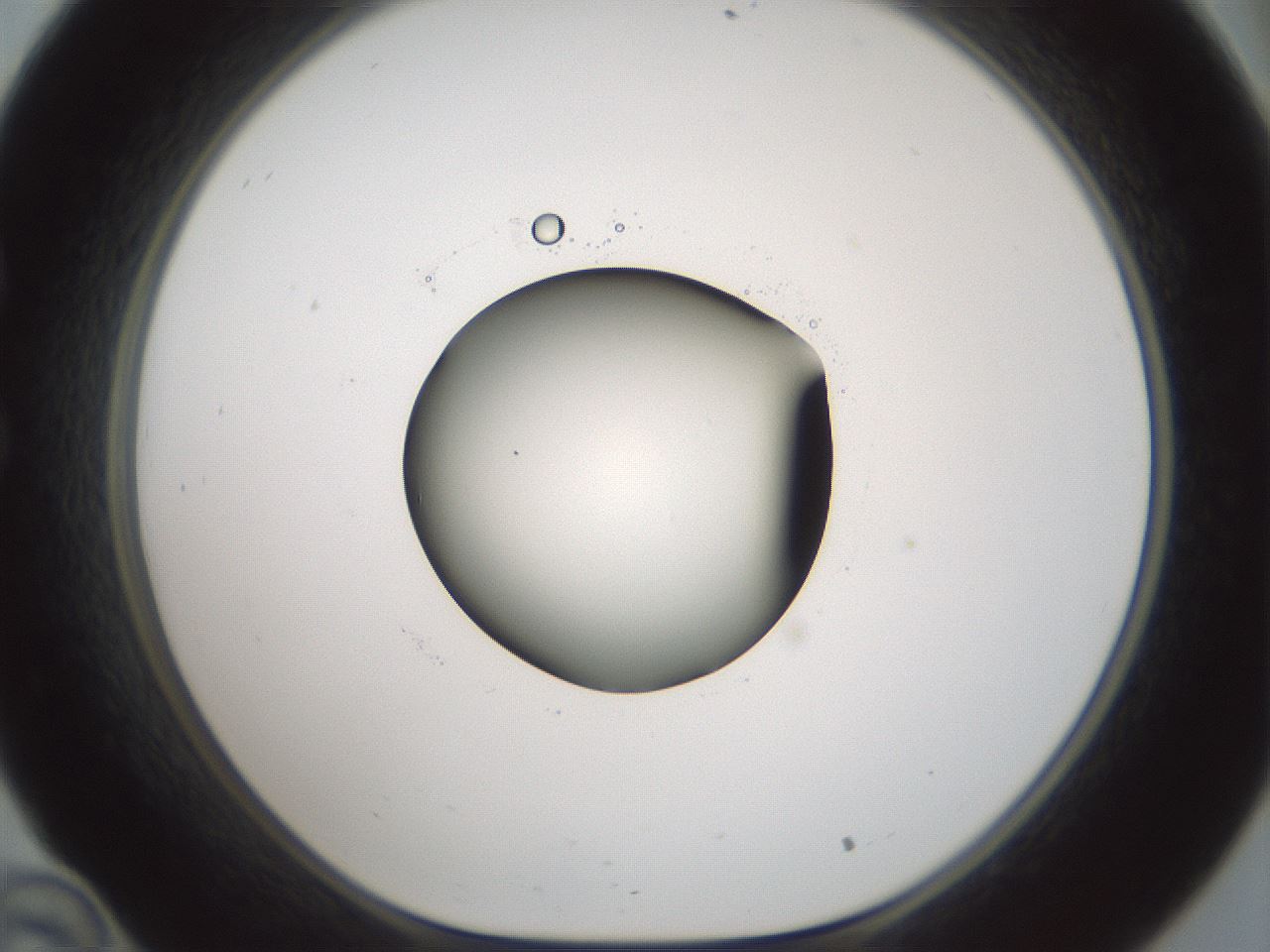 folderID601_plateID1601_batchID6734_wellNum34_profileID1_d1_r107190_ef.jpg