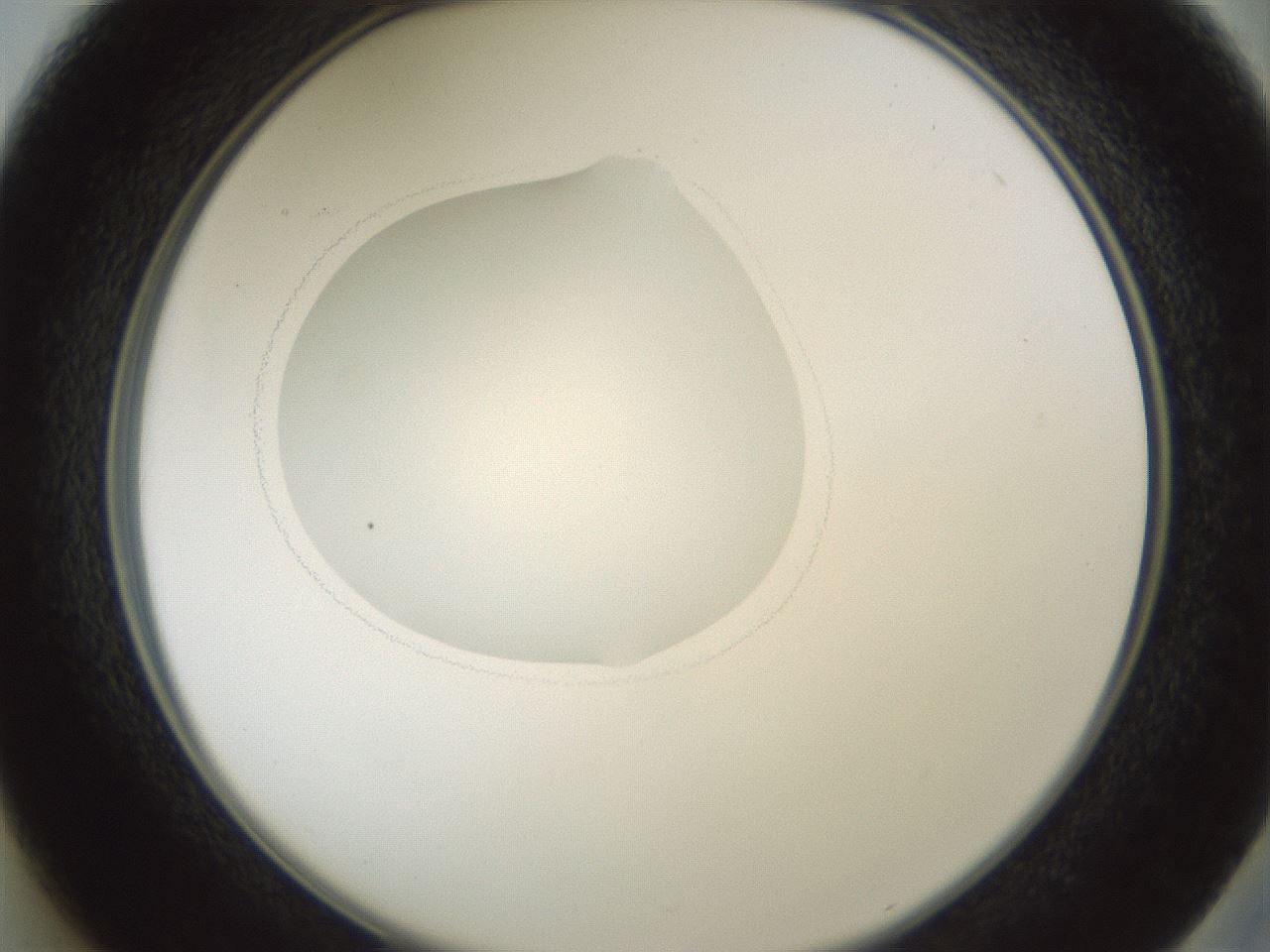 folderID601_plateID1601_batchID6734_wellNum37_profileID1_d2_r107197_ef.jpg