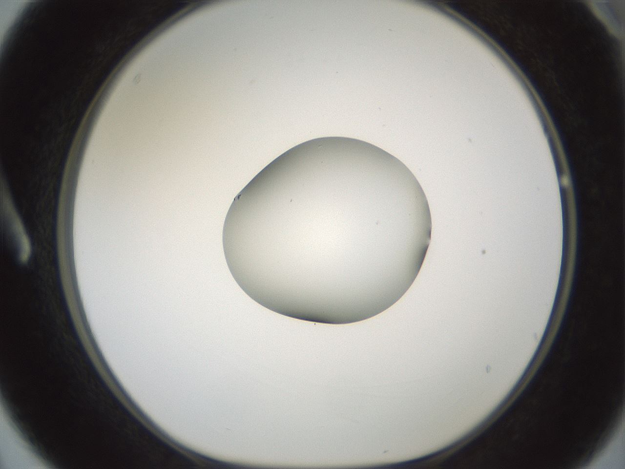 folderID601_plateID1601_batchID6734_wellNum3_profileID1_d1_r107128_ef.jpg