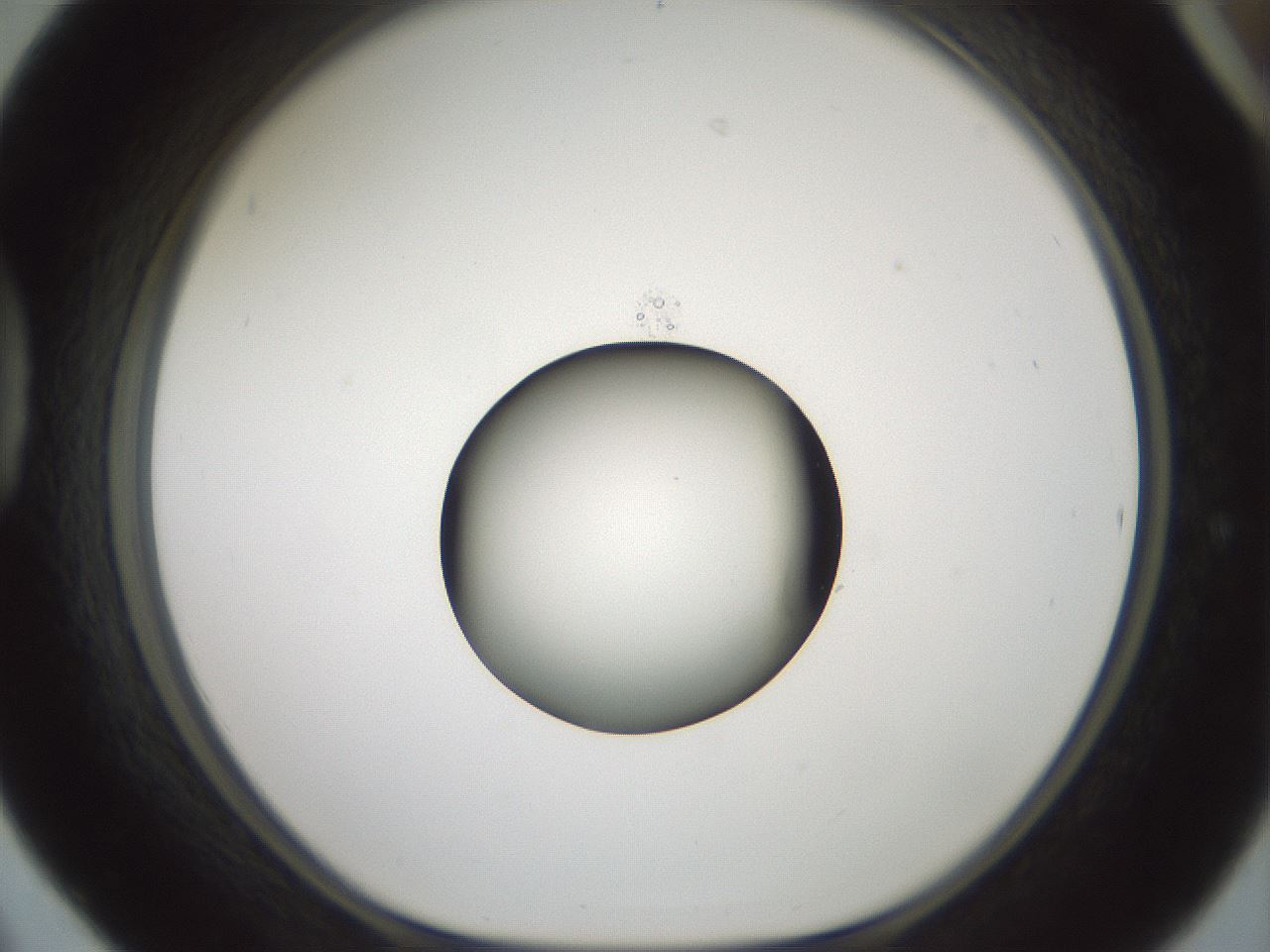 folderID601_plateID1601_batchID6734_wellNum42_profileID1_d1_r107206_ef.jpg