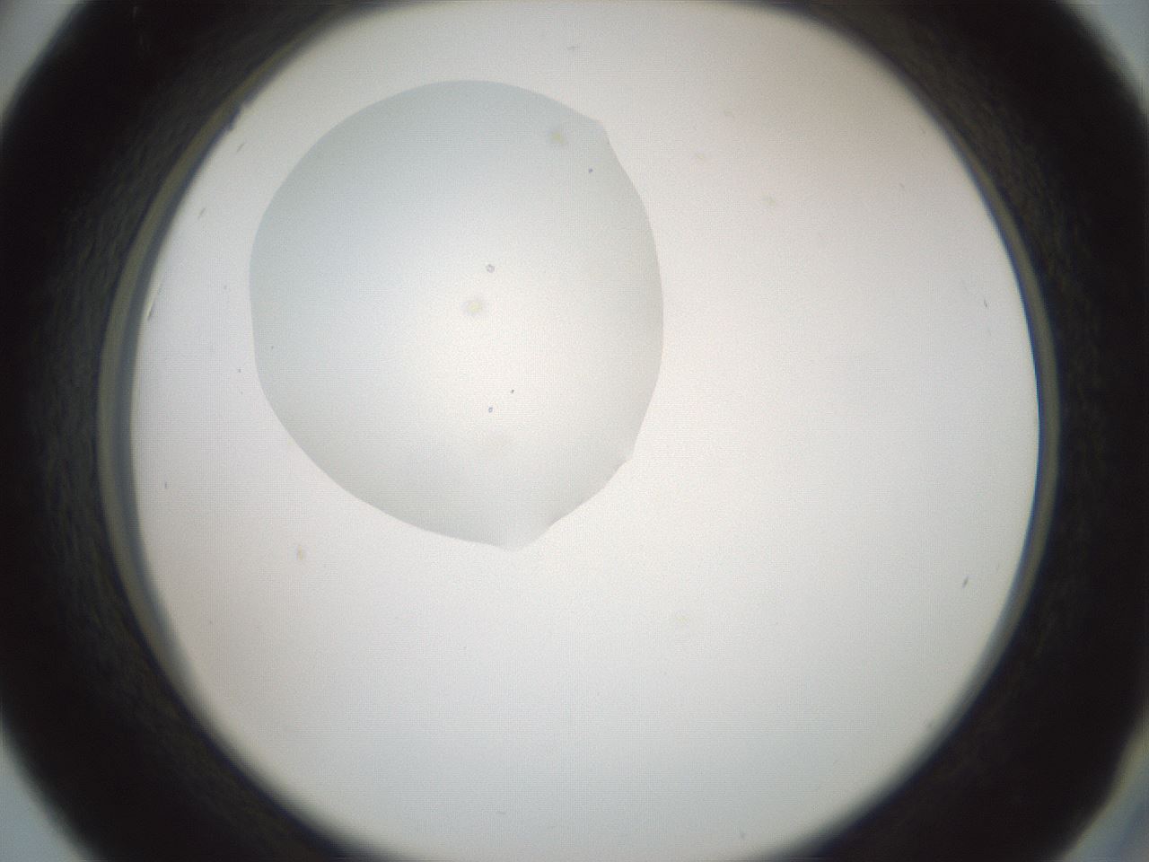 folderID601_plateID1601_batchID6734_wellNum42_profileID1_d2_r107207_ef.jpg