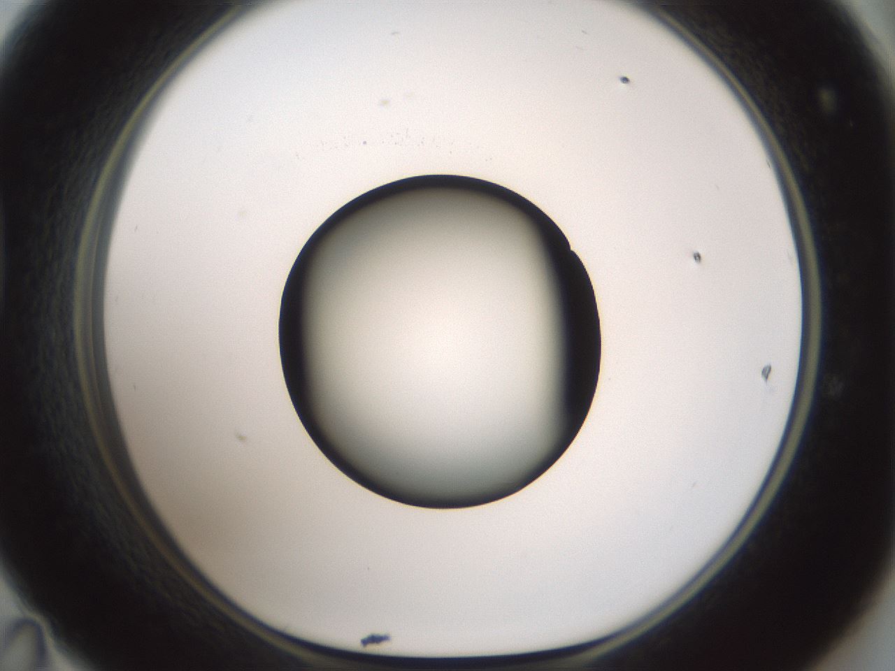 folderID601_plateID1601_batchID6734_wellNum47_profileID1_d1_r107216_ef.jpg