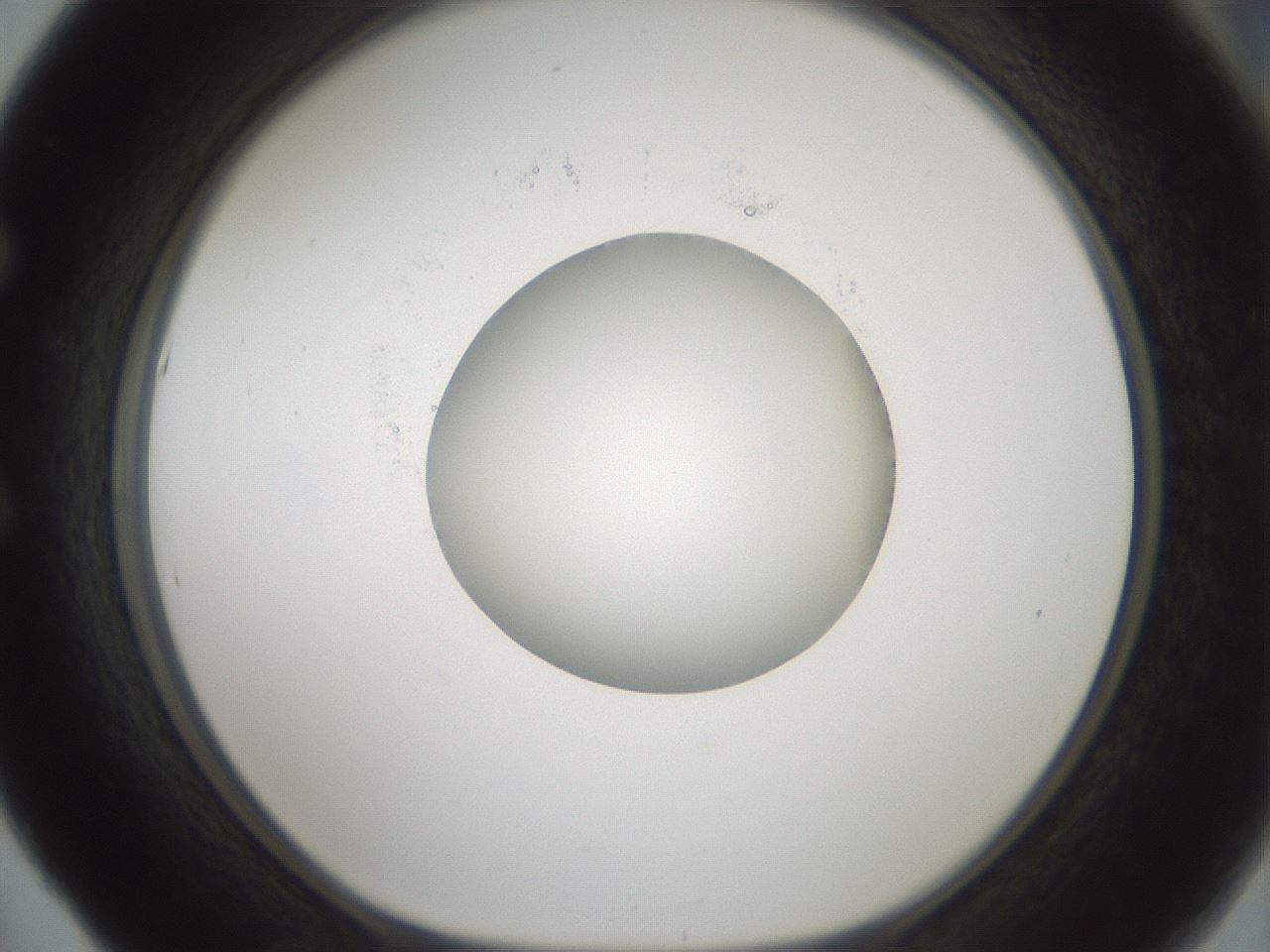 folderID601_plateID1601_batchID6734_wellNum53_profileID1_d1_r107228_ef.jpg