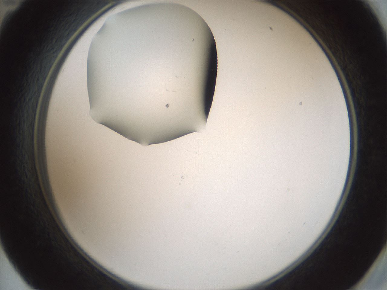 folderID601_plateID1601_batchID6734_wellNum59_profileID1_d2_r107241_ef.jpg