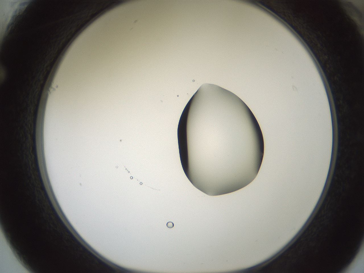 folderID601_plateID1601_batchID6734_wellNum61_profileID1_d1_r107244_ef.jpg
