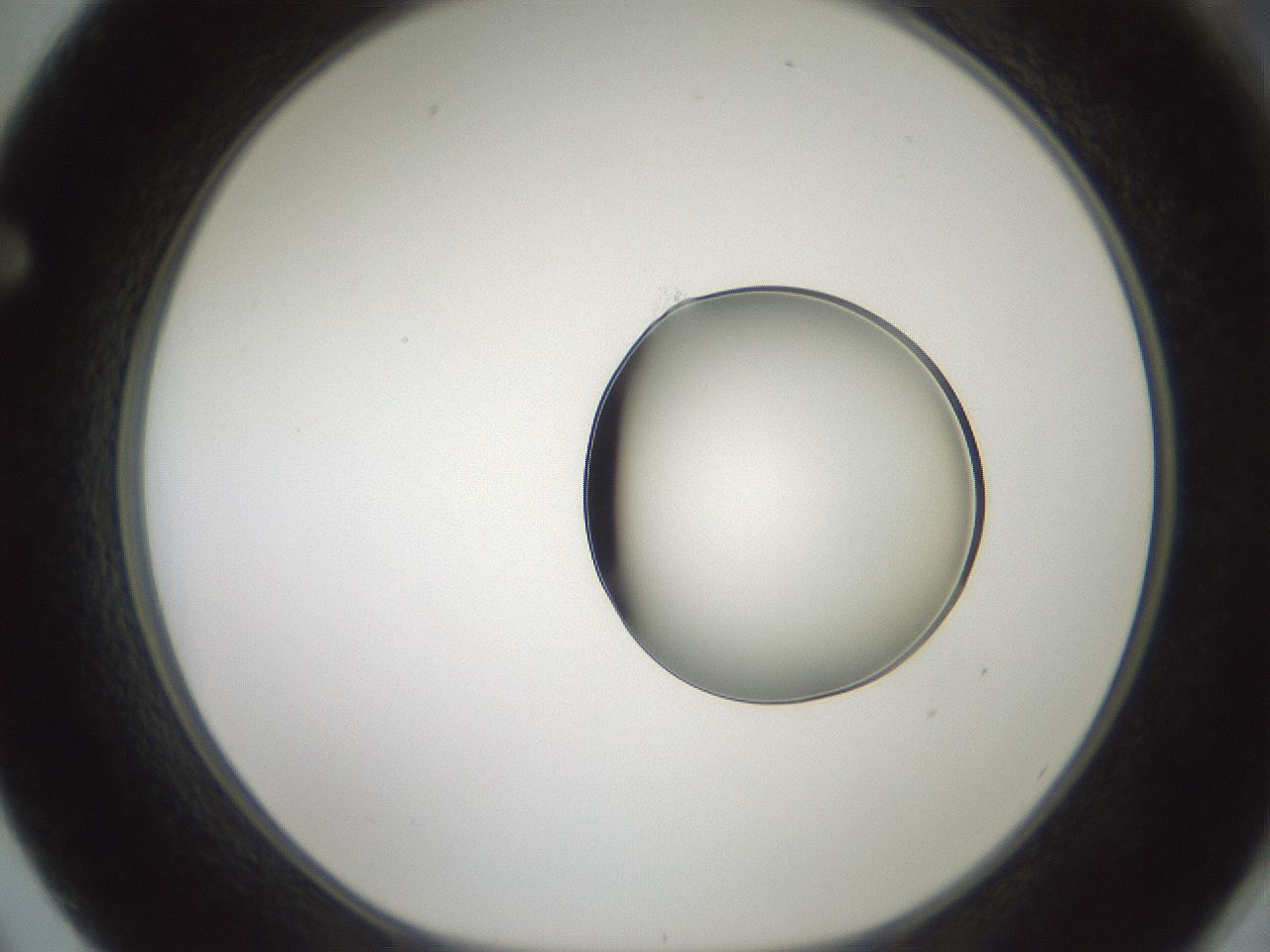 folderID601_plateID1601_batchID6734_wellNum62_profileID1_d1_r107246_ef.jpg