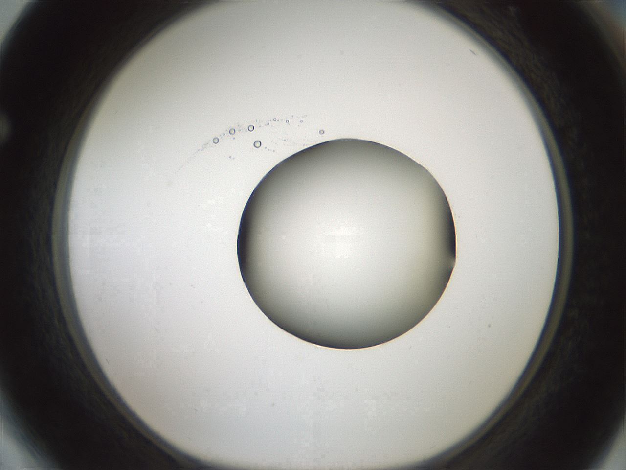 folderID601_plateID1601_batchID6734_wellNum64_profileID1_d1_r107250_ef.jpg