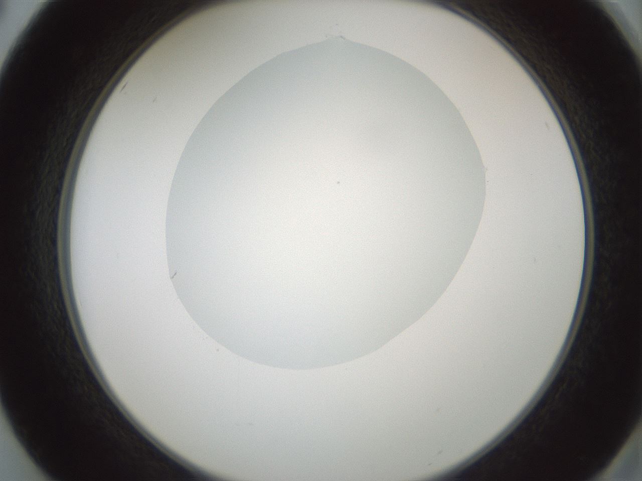 folderID601_plateID1601_batchID6734_wellNum50_profileID1_d2_r107223_ef.jpg
