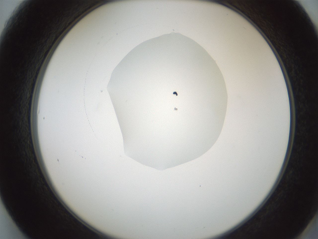 folderID601_plateID1601_batchID6734_wellNum61_profileID1_d2_r107245_ef.jpg