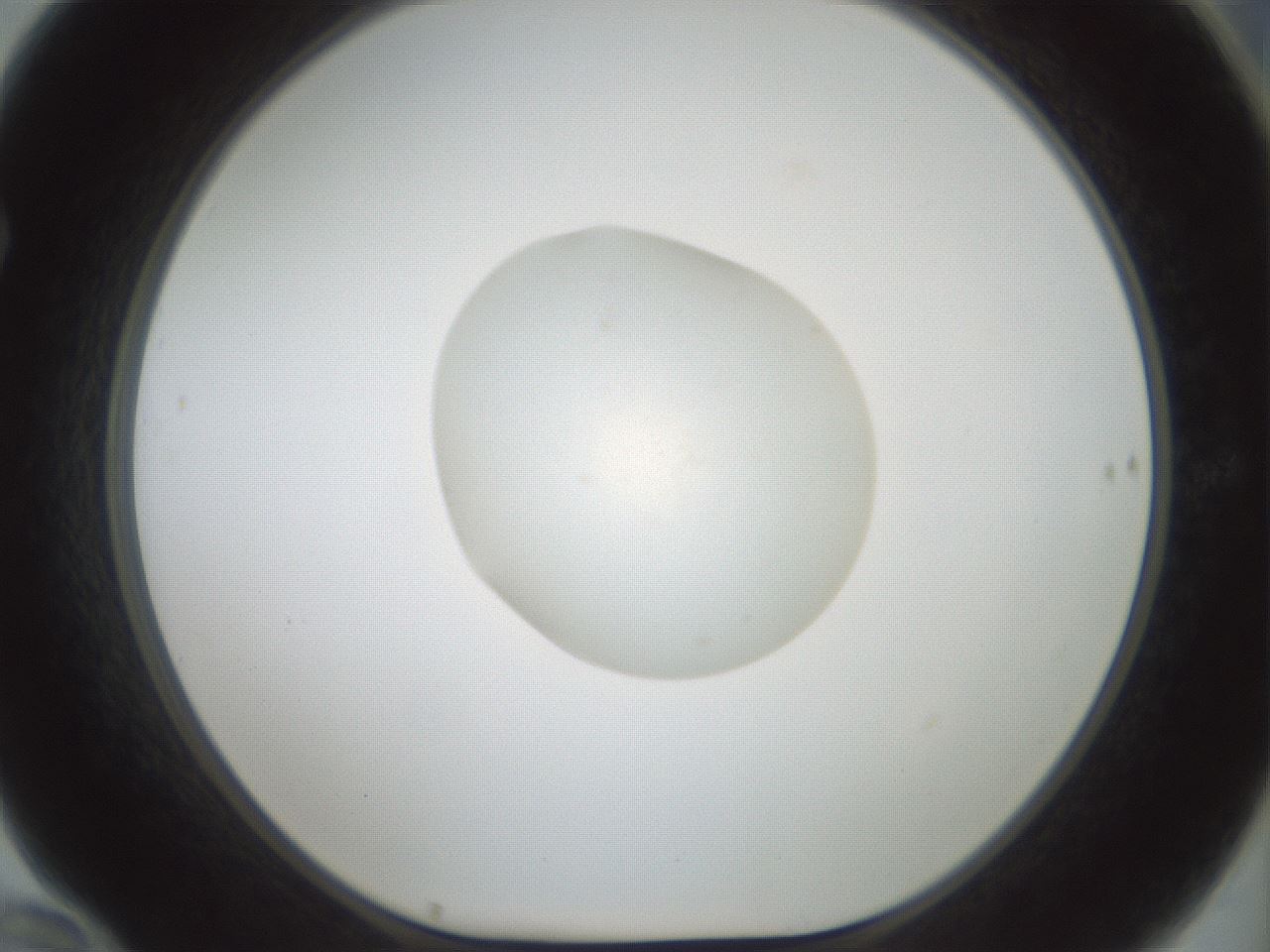 folderID601_plateID1601_batchID6734_wellNum70_profileID1_d1_r107262_ef.jpg
