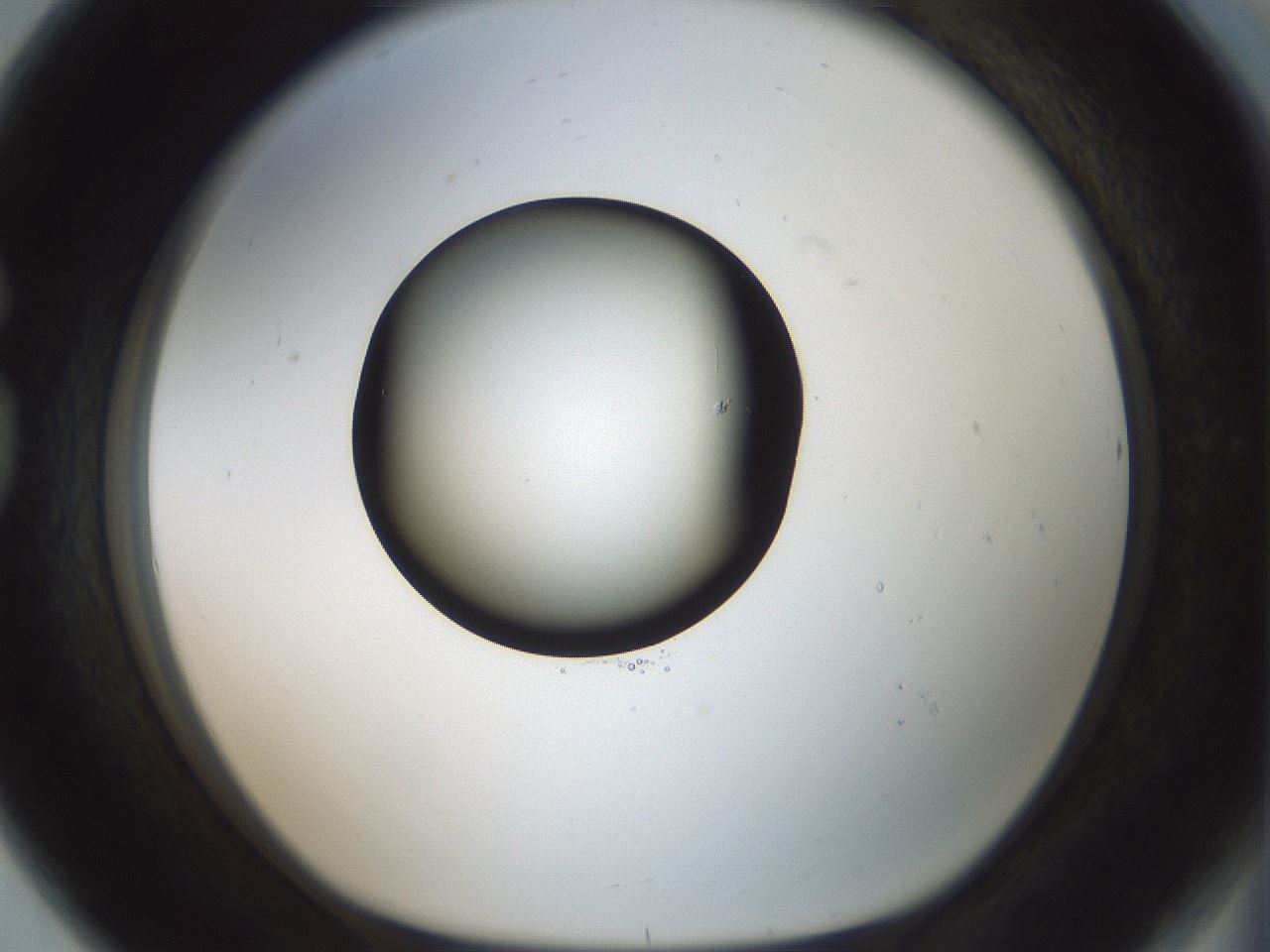 folderID601_plateID1601_batchID6734_wellNum80_profileID1_d1_r107282_ef.jpg