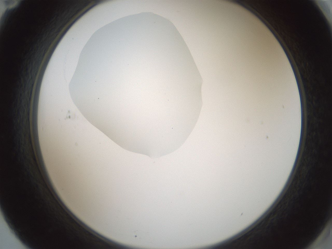 folderID601_plateID1601_batchID6734_wellNum71_profileID1_d2_r107265_ef.jpg