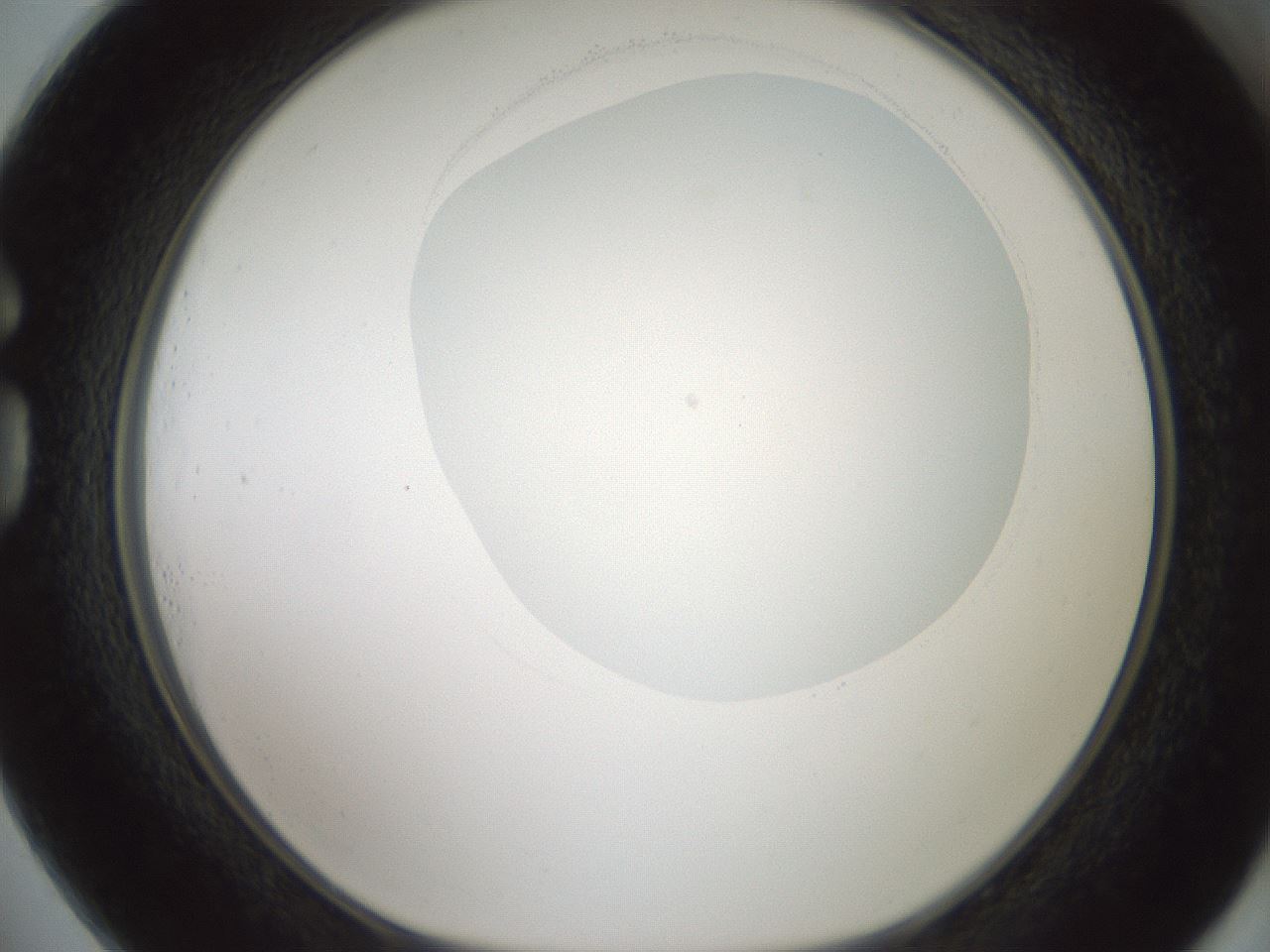 folderID601_plateID1601_batchID6734_wellNum73_profileID1_d1_r107268_ef.jpg