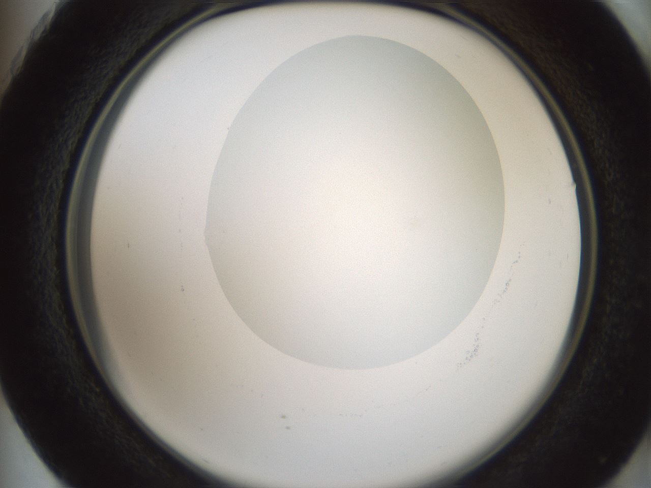 folderID601_plateID1601_batchID6734_wellNum73_profileID1_d2_r107269_ef.jpg