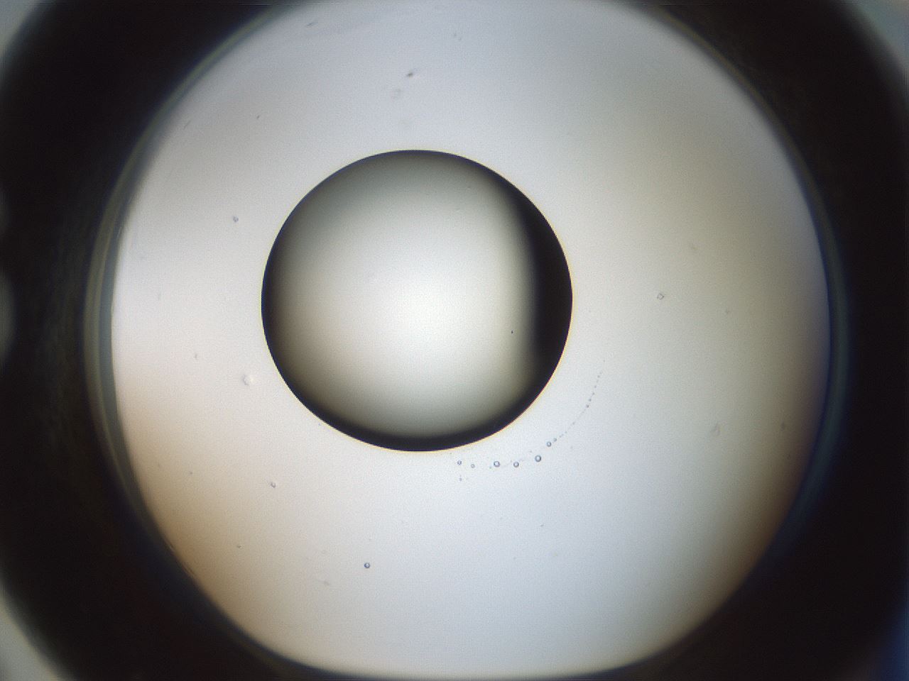 folderID601_plateID1601_batchID6734_wellNum79_profileID1_d1_r107280_ef.jpg