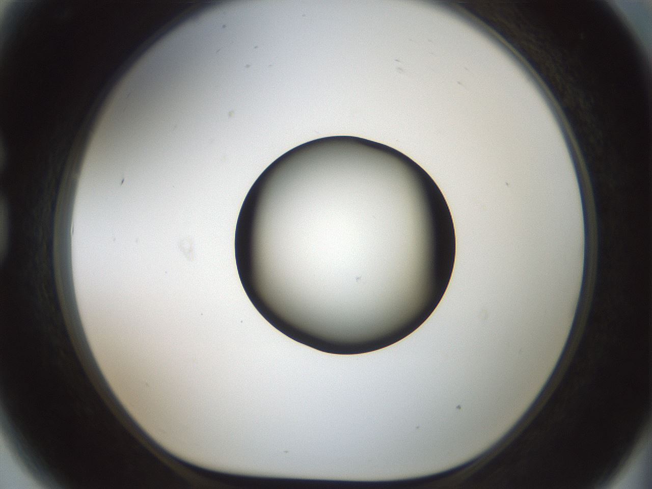 folderID601_plateID1601_batchID6734_wellNum81_profileID1_d1_r107284_ef.jpg