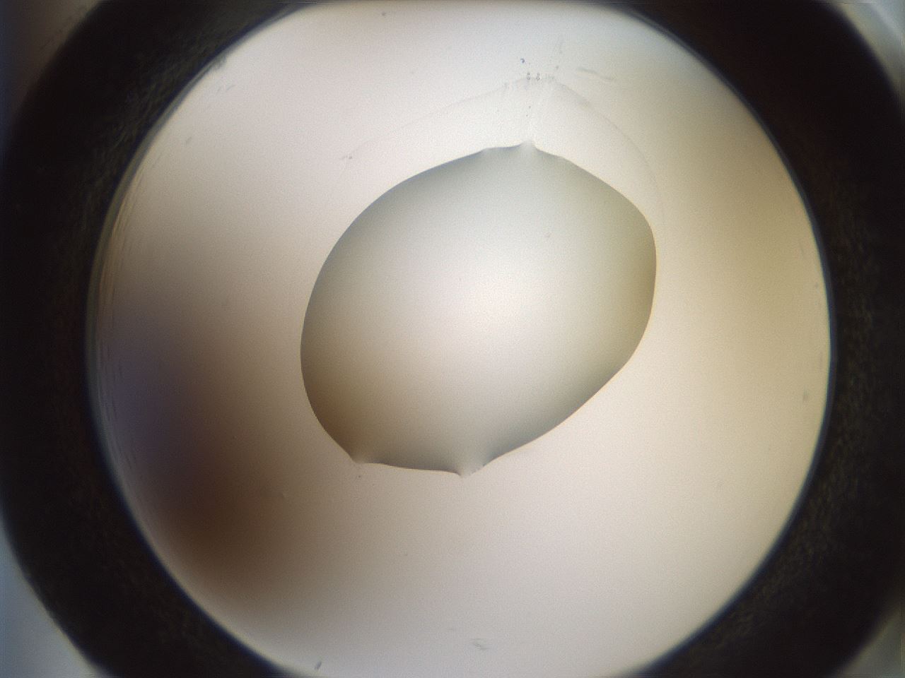 folderID601_plateID1601_batchID6734_wellNum85_profileID1_d2_r107293_ef.jpg