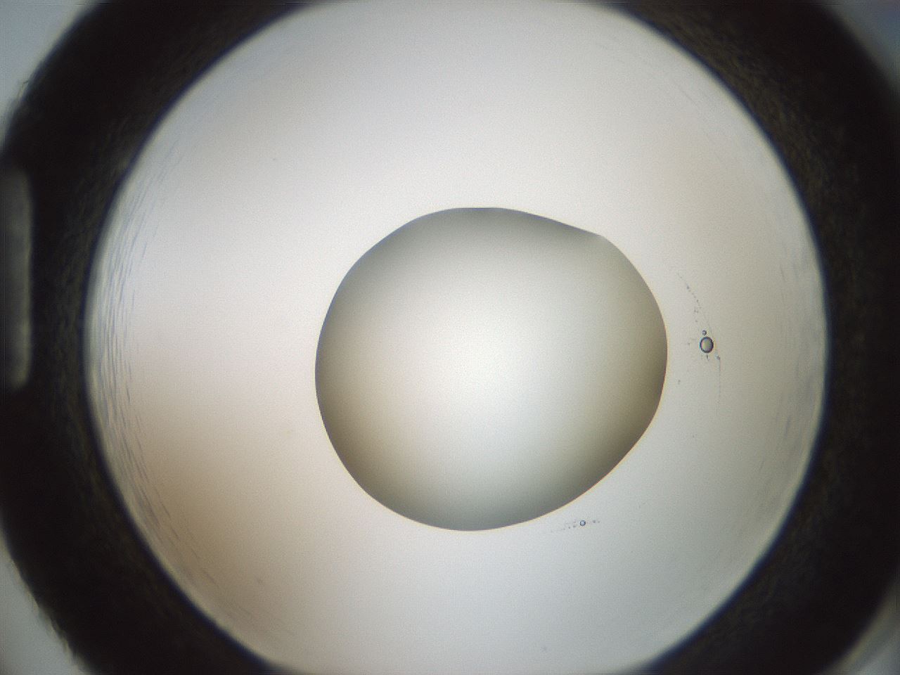 folderID601_plateID1601_batchID6734_wellNum86_profileID1_d1_r107294_ef.jpg