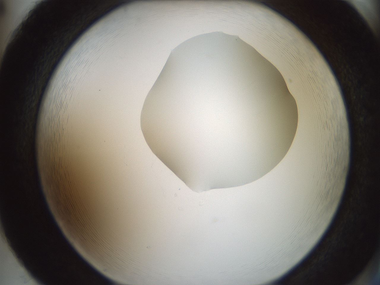 folderID601_plateID1601_batchID6734_wellNum86_profileID1_d2_r107295_ef.jpg
