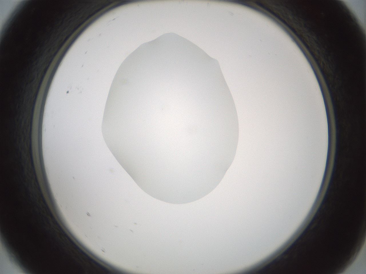 folderID601_plateID1601_batchID6734_wellNum9_profileID1_d2_r107141_ef.jpg