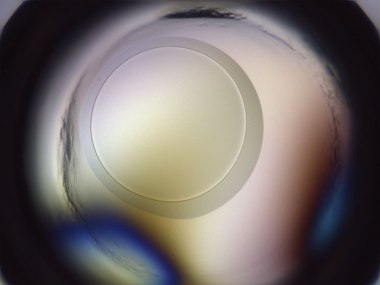 folderID601_plateID2601_batchID13164_wellNum10_profileID1_d1_r199620_ef.jpg