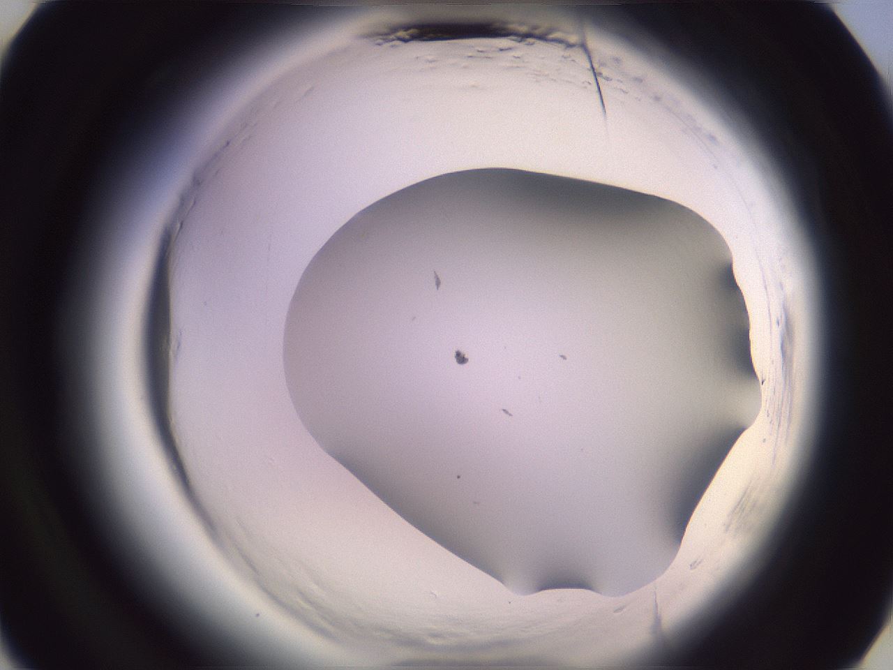 folderID601_plateID2601_batchID13164_wellNum13_profileID1_d3_r199631_ef.jpg
