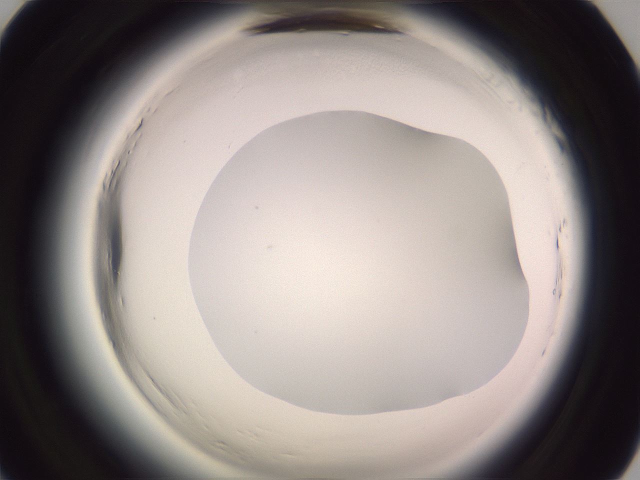 folderID601_plateID2601_batchID13164_wellNum20_profileID1_d1_r199650_ef.jpg