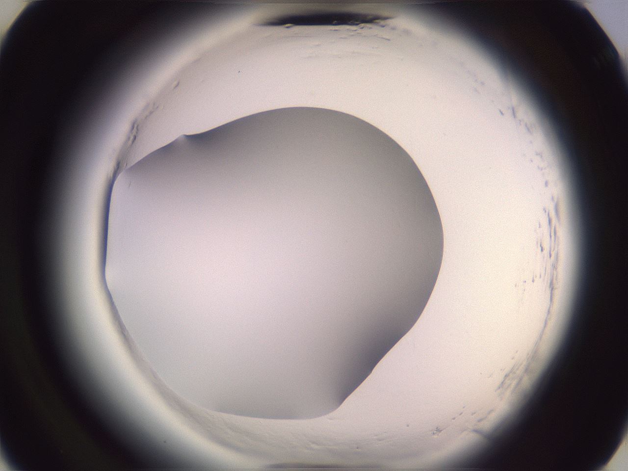 folderID601_plateID2601_batchID13164_wellNum25_profileID1_d3_r199667_ef.jpg