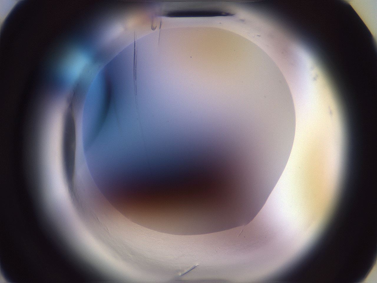 folderID601_plateID2601_batchID13164_wellNum2_profileID1_d3_r199598_ef.jpg