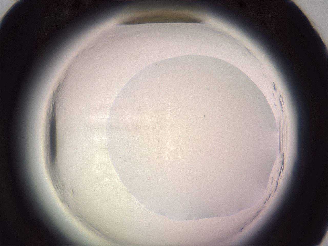 folderID601_plateID2601_batchID13164_wellNum58_profileID1_d1_r199764_ef.jpg
