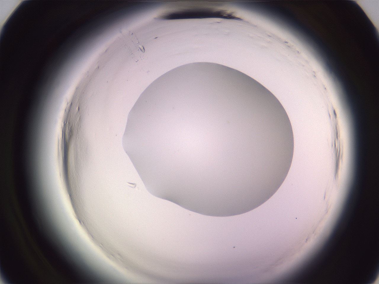 folderID601_plateID2601_batchID13164_wellNum9_profileID1_d2_r199618_ef.jpg