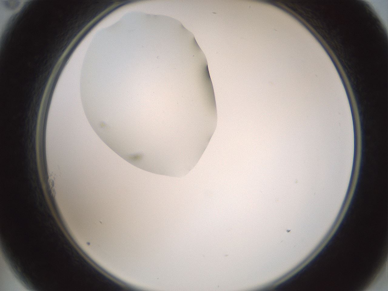 folderID602_plateID1602_batchID6722_wellNum11_profileID1_d2_r104841_ef.jpg