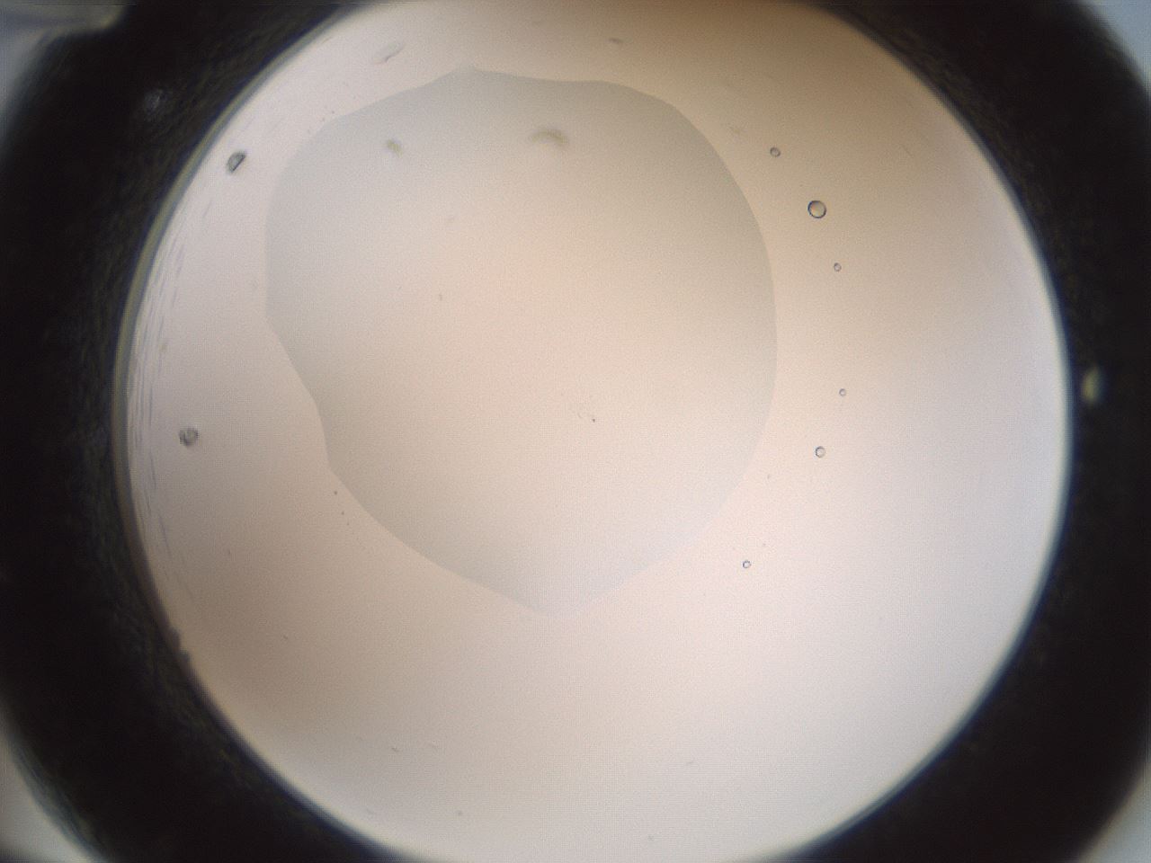 folderID602_plateID1602_batchID6722_wellNum12_profileID1_d2_r104843_ef.jpg