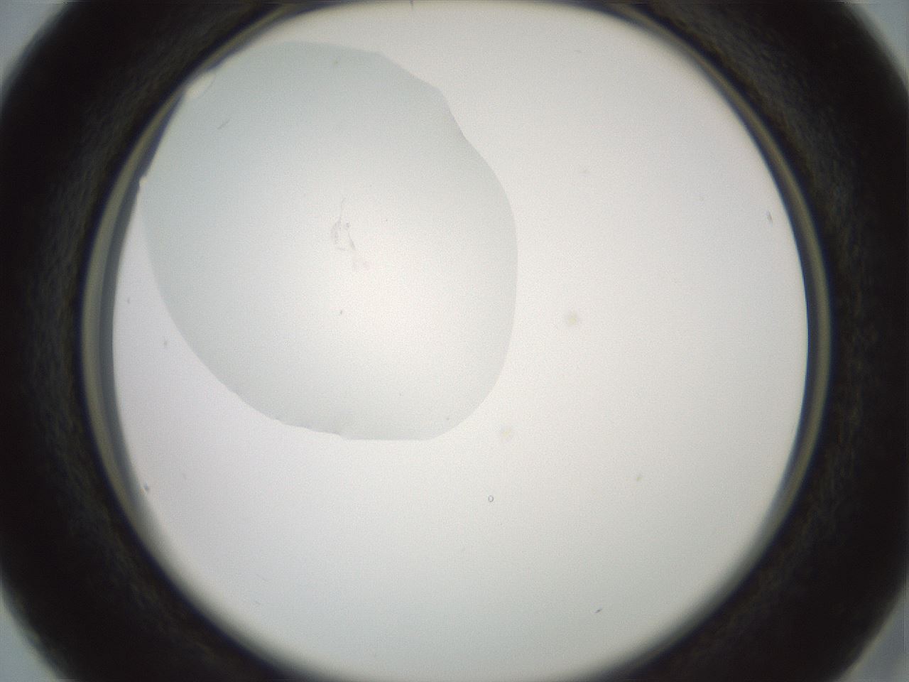 folderID602_plateID1602_batchID6722_wellNum16_profileID1_d2_r104851_ef.jpg