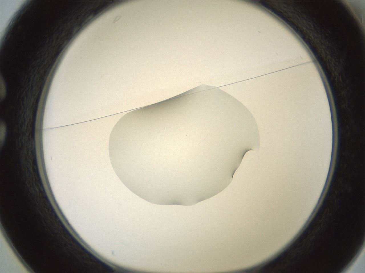 folderID602_plateID1602_batchID6722_wellNum25_profileID1_d1_r104868_ef.jpg