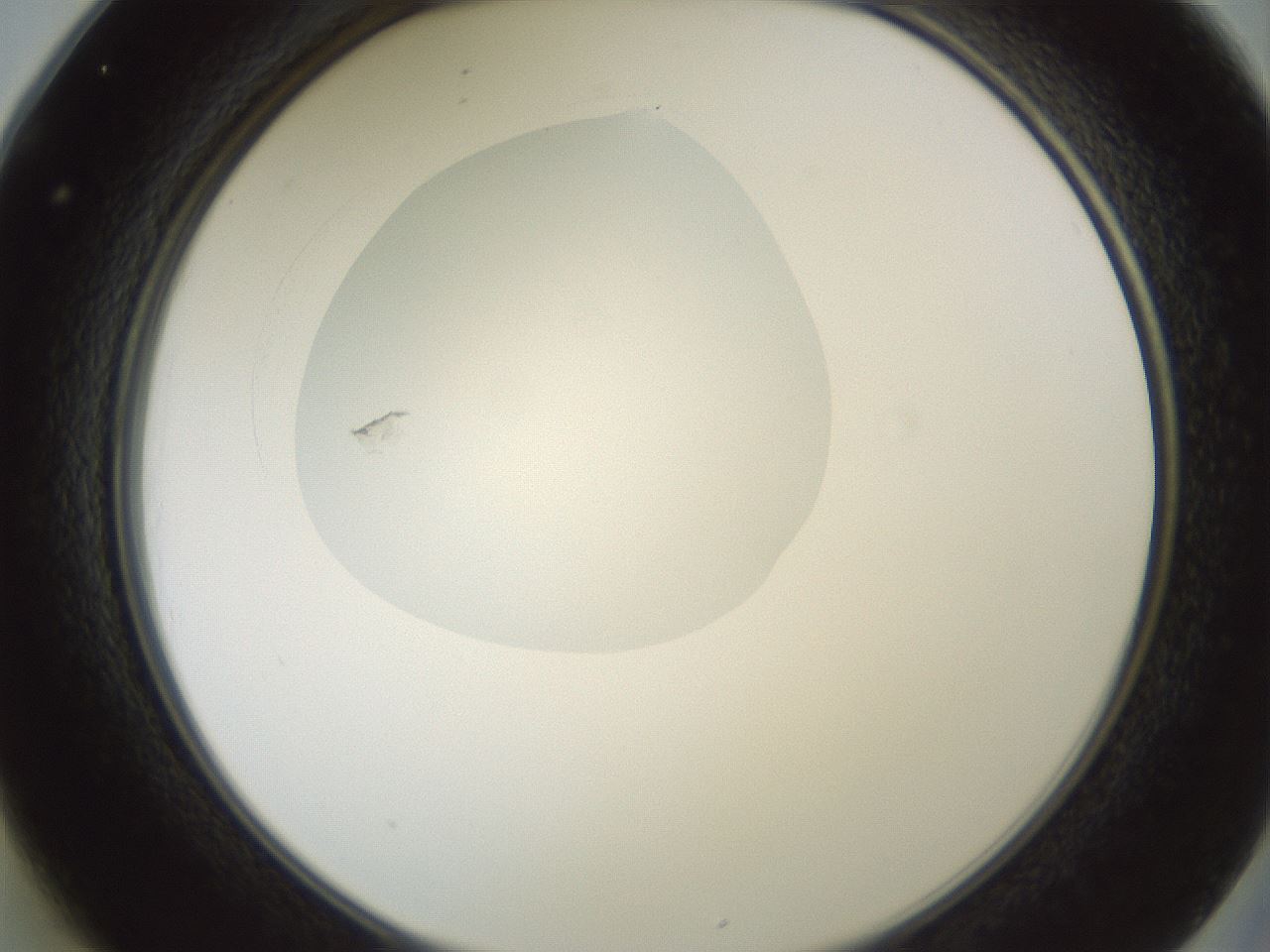 folderID602_plateID1602_batchID6722_wellNum25_profileID1_d2_r104869_ef.jpg