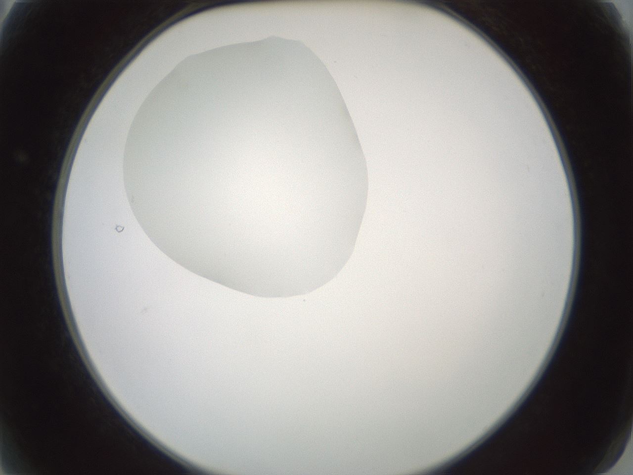 folderID602_plateID1602_batchID6722_wellNum2_profileID1_d2_r104823_ef.jpg