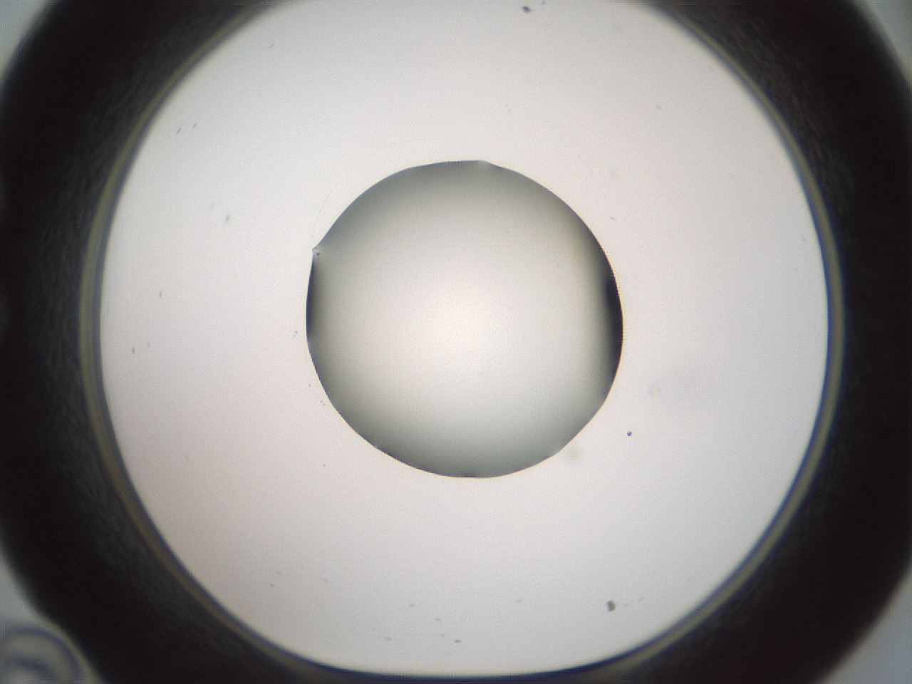 folderID602_plateID1602_batchID6722_wellNum34_profileID1_d1_r104886_ef.jpg