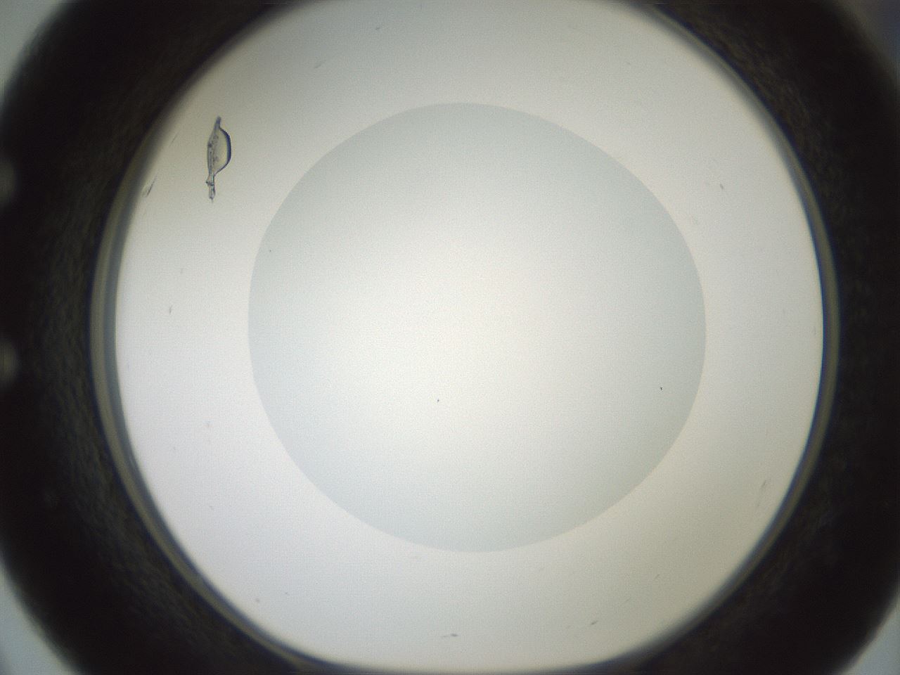 folderID602_plateID1602_batchID6722_wellNum51_profileID1_d1_r104920_ef.jpg