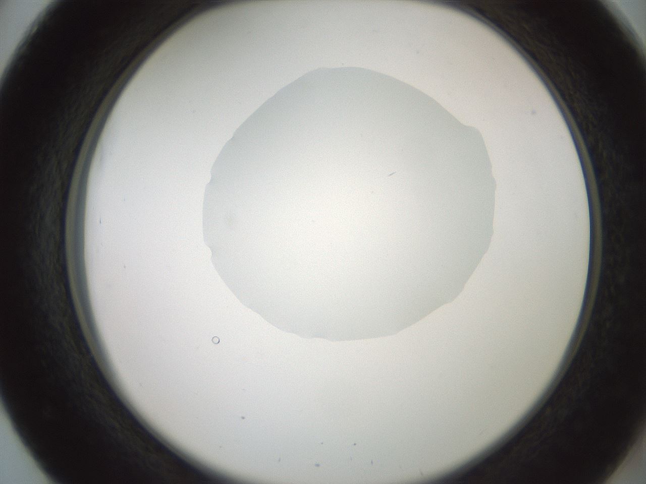 folderID602_plateID1602_batchID6722_wellNum51_profileID1_d2_r104921_ef.jpg