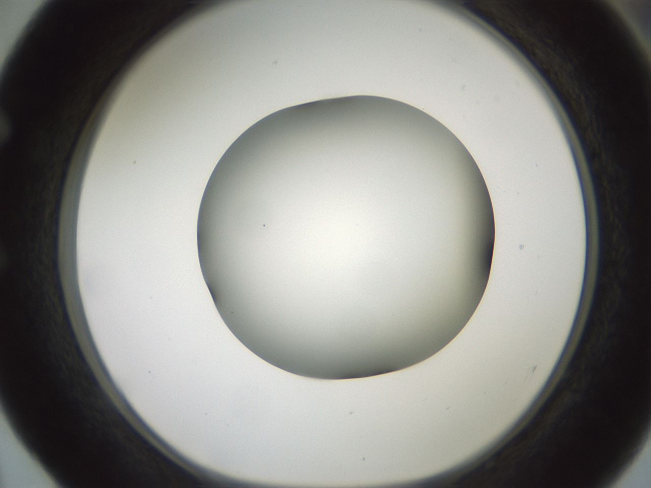 folderID602_plateID1602_batchID6722_wellNum52_profileID1_d1_r104922_ef.jpg