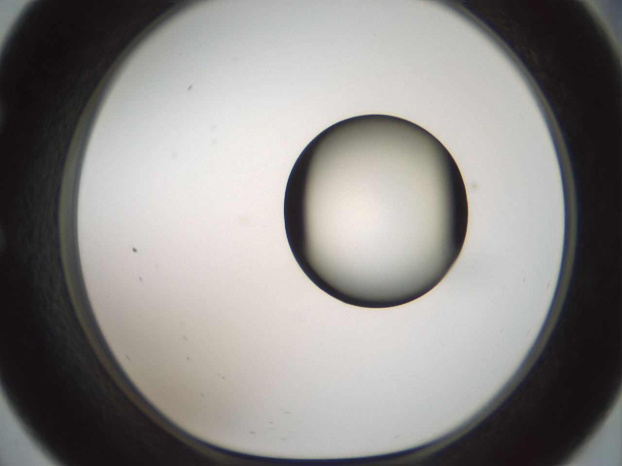 folderID602_plateID1602_batchID6722_wellNum57_profileID1_d1_r104932_ef.jpg