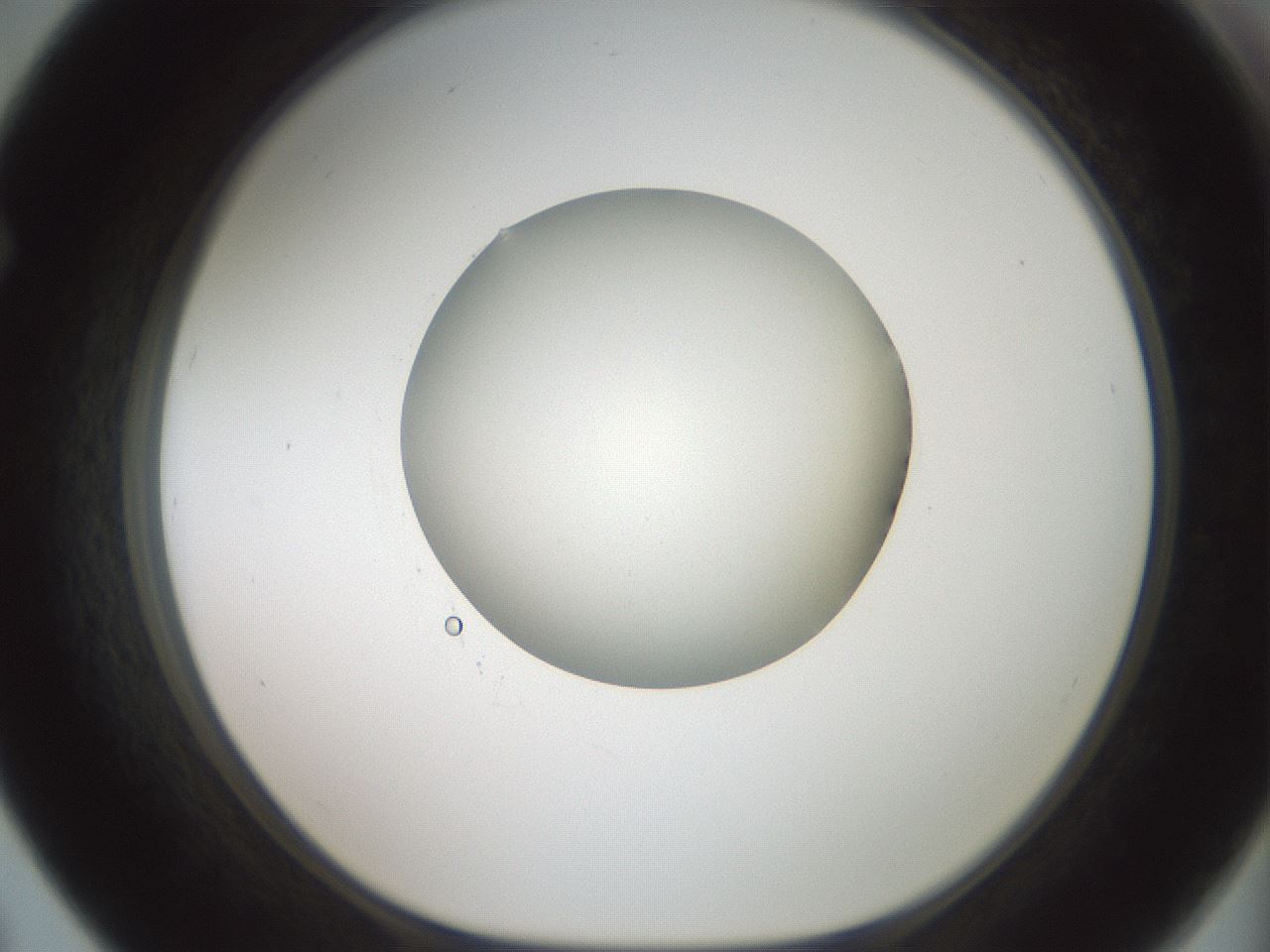 folderID602_plateID1602_batchID6722_wellNum67_profileID1_d1_r104952_ef.jpg