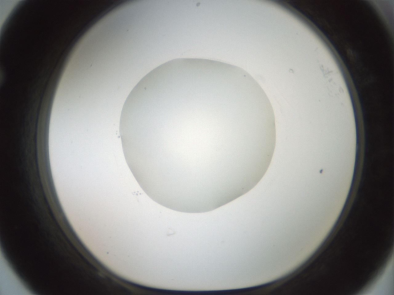 folderID602_plateID1602_batchID6722_wellNum68_profileID1_d1_r104954_ef.jpg