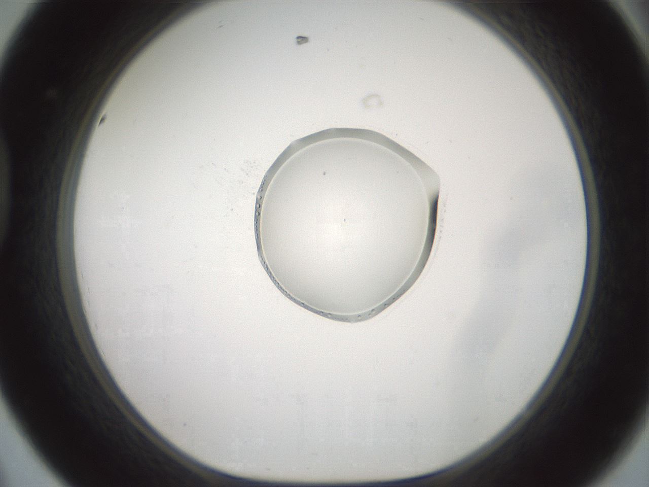 folderID602_plateID1602_batchID6722_wellNum44_profileID1_d1_r104906_ef.jpg