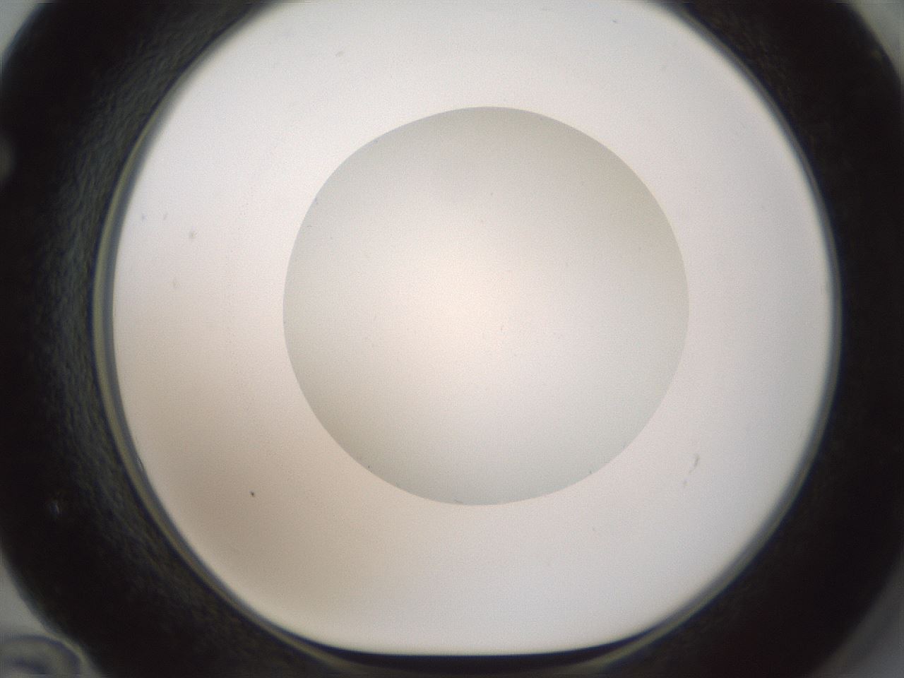 folderID602_plateID1602_batchID6722_wellNum72_profileID1_d1_r104962_ef.jpg