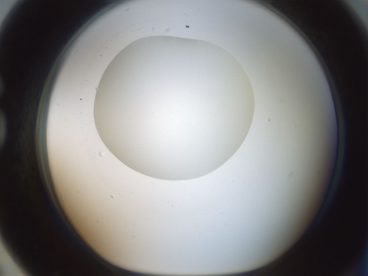 folderID602_plateID1602_batchID6722_wellNum79_profileID1_d1_r104976_ef.jpg