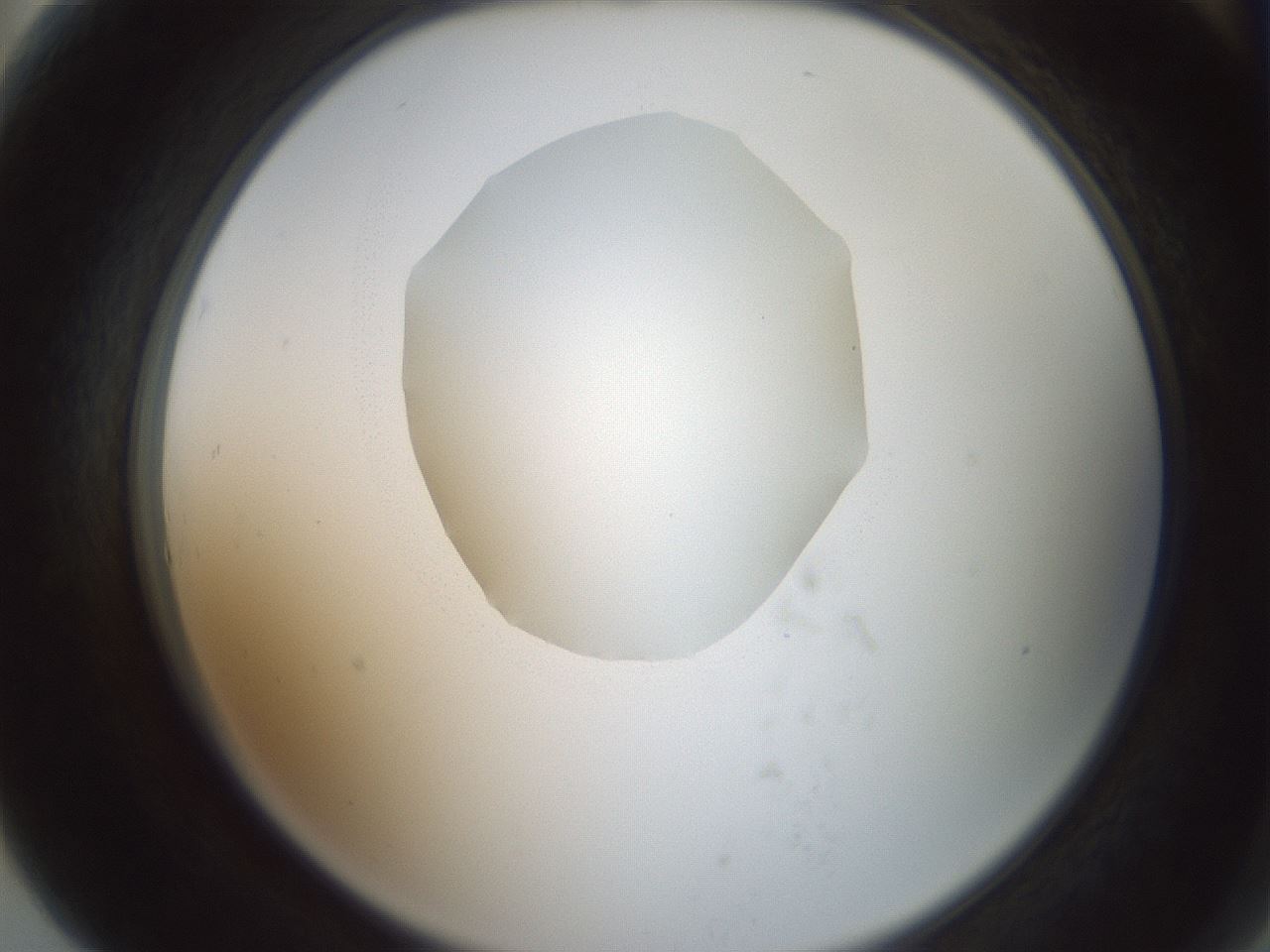 folderID602_plateID1602_batchID6722_wellNum79_profileID1_d2_r104977_ef.jpg