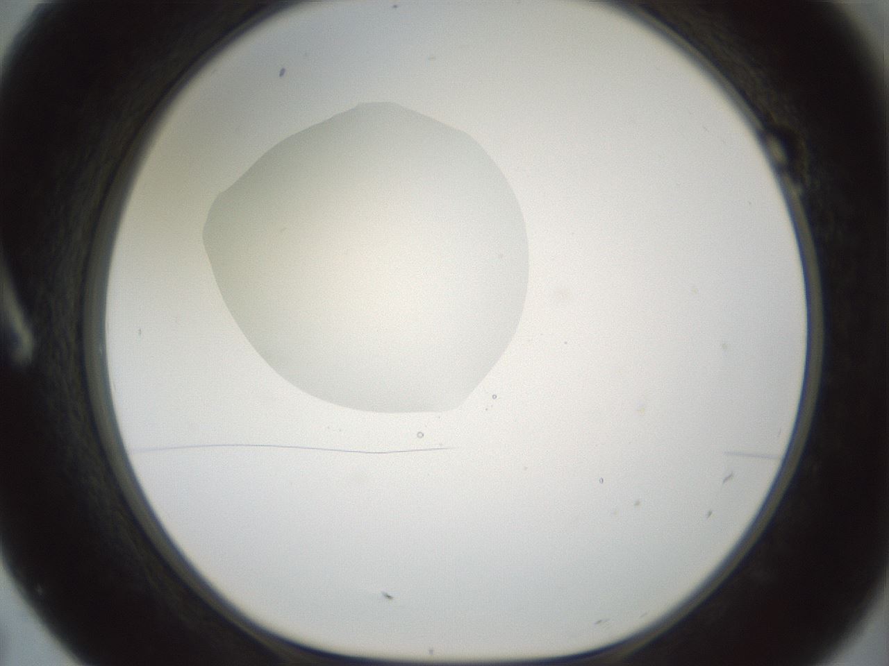folderID602_plateID1602_batchID6722_wellNum7_profileID1_d1_r104832_ef.jpg